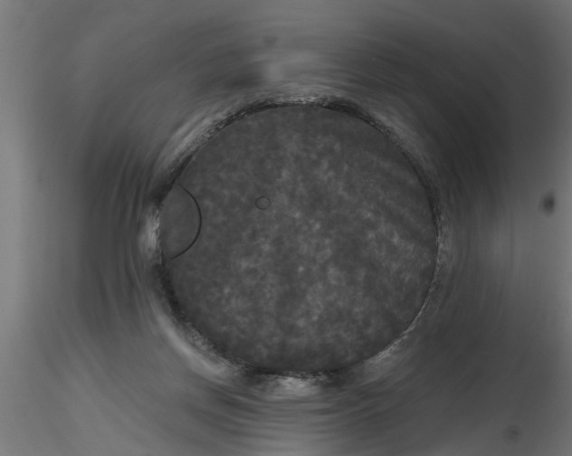 X0000116850166201001051513