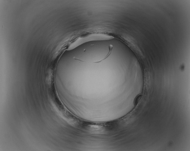 X0000116850167201001051513