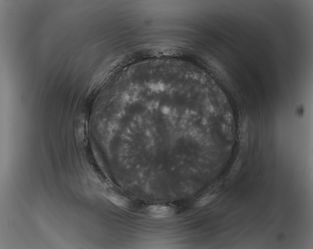 X0000116850169201001051513