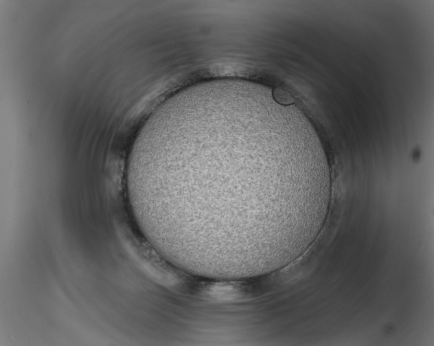 X0000116850171201001051513