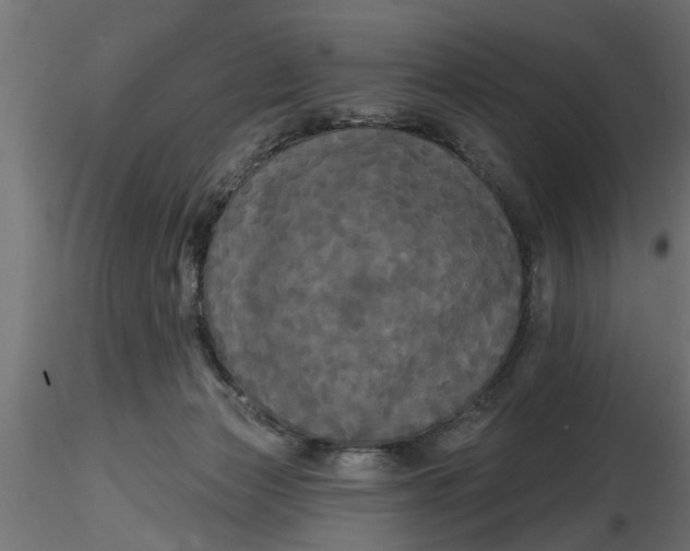 X0000116850173201001051513