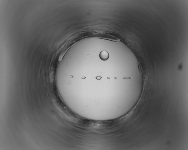 X0000116850174201001051514