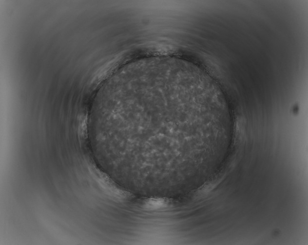 X0000116850177201001051514