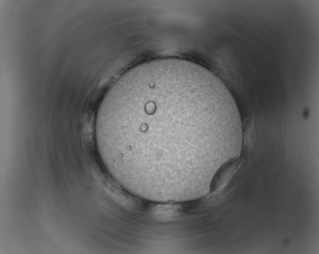 X0000116850179201001051514