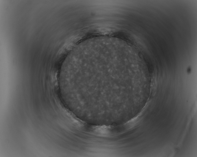 X0000116850182201001051514