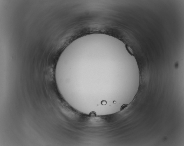 X0000116850183201001051514