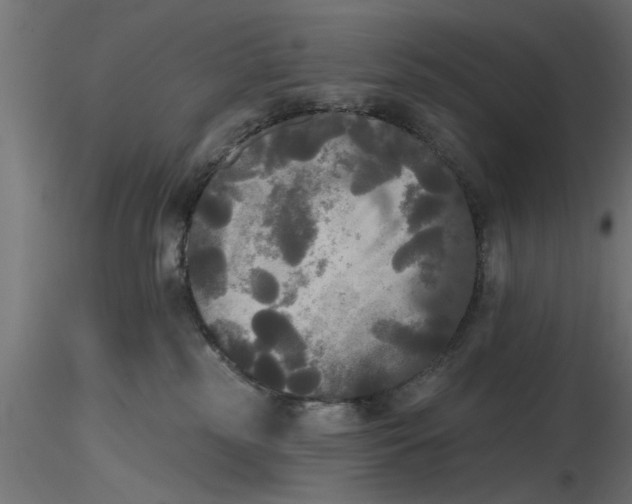 X0000116850185201001051514