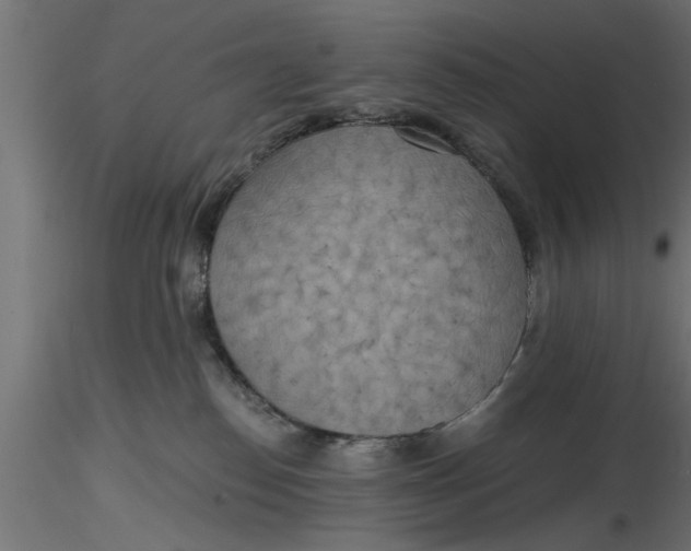 X0000116850186201001051514