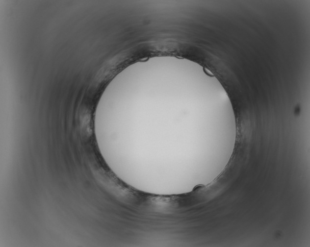 X0000116850187201001051514