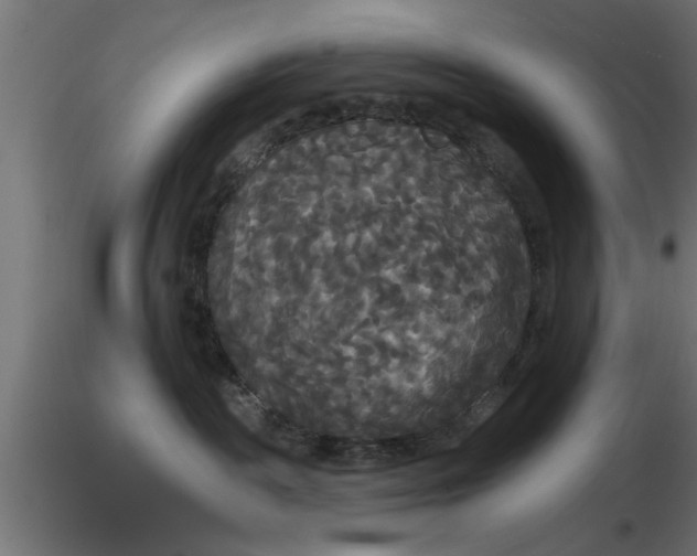 X0000116850189201001051514