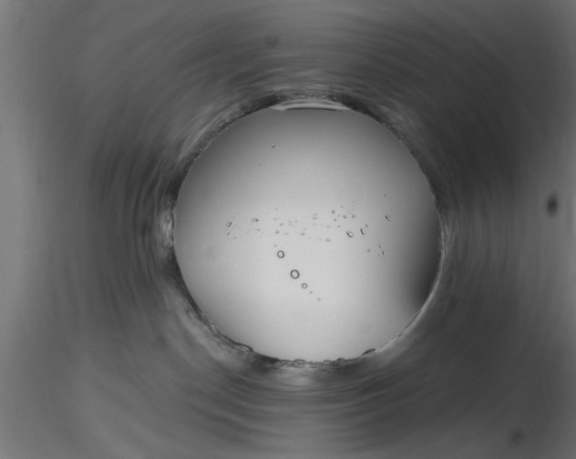 X0000116850190201001051514