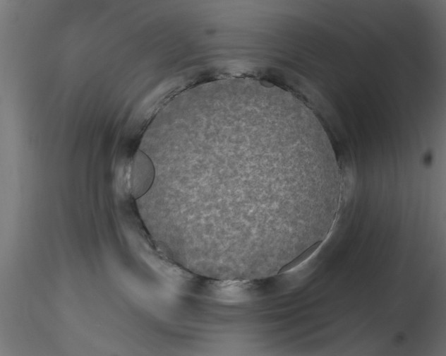 X0000116850191201001051514