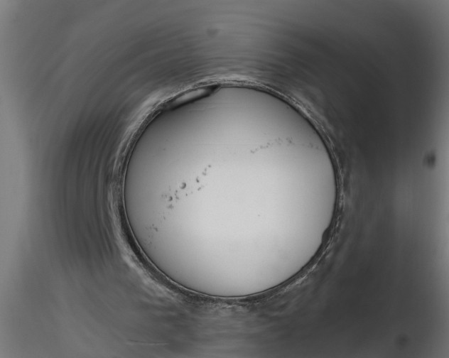 X0000116850193201001051513