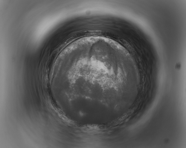 X0000116850194201001051513