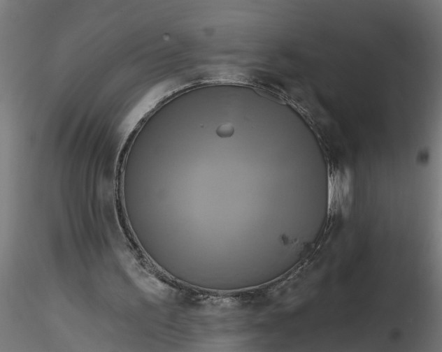 X0000116850195201001051513