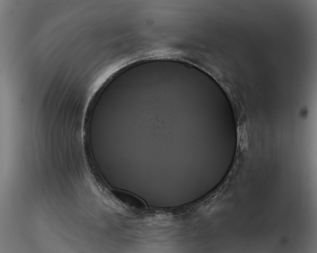 X0000116850196201001051513