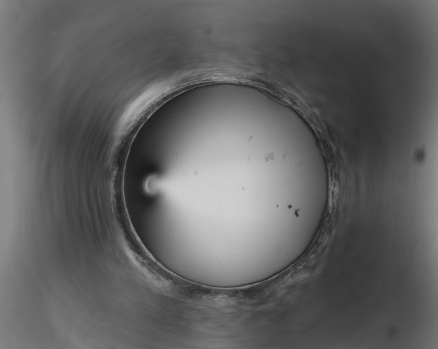 X0000116850197201001051513