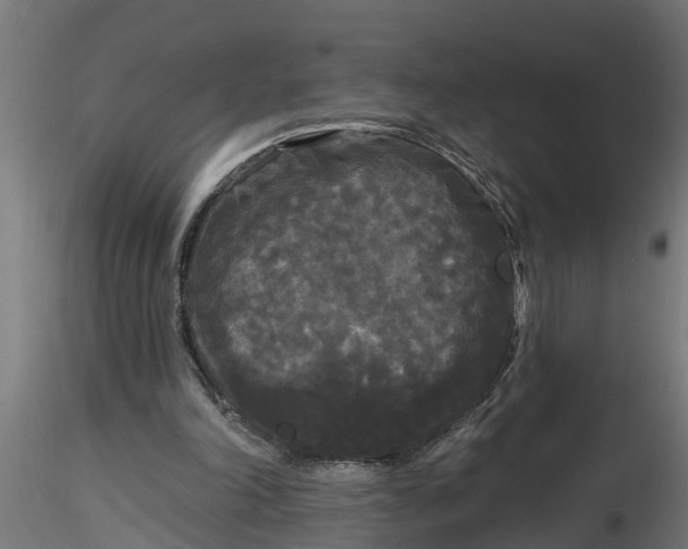 X0000116850198201001051513