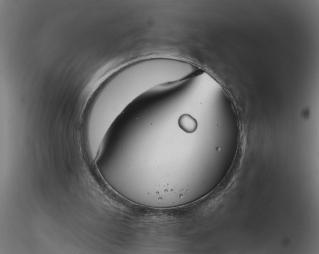 X0000116850199201001051513