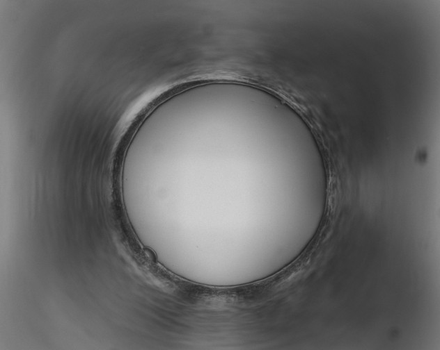 X0000116850200201001051513