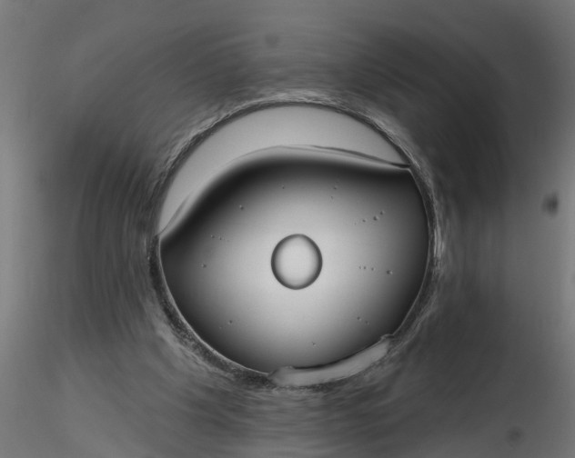 X0000116850201201001051513