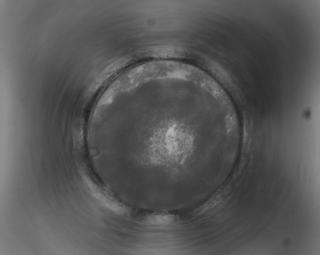 X0000116850202201001051513