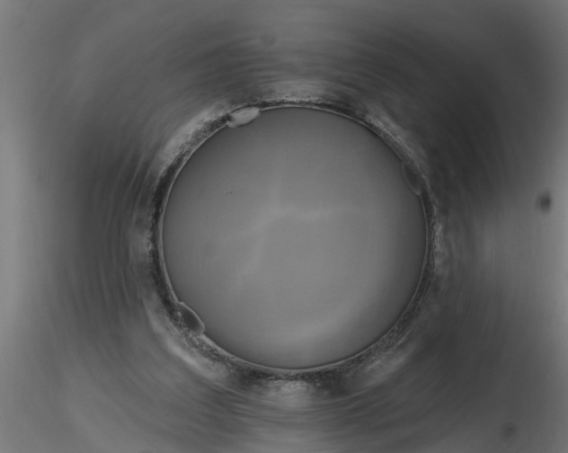 X0000116850203201001051513