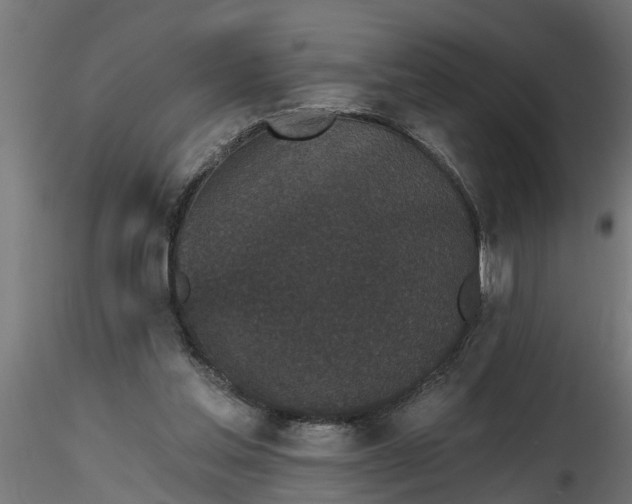 X0000116850205201001051513