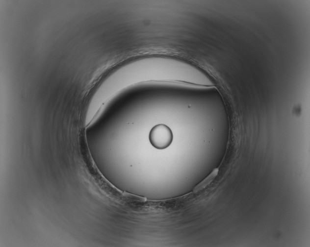 X0000116850207201001051513