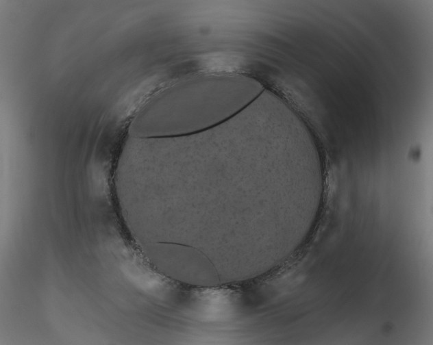 X0000116850209201001051513