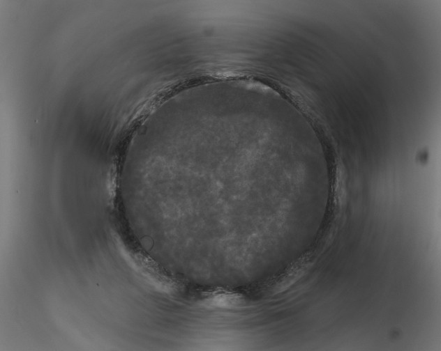 X0000116850210201001051513