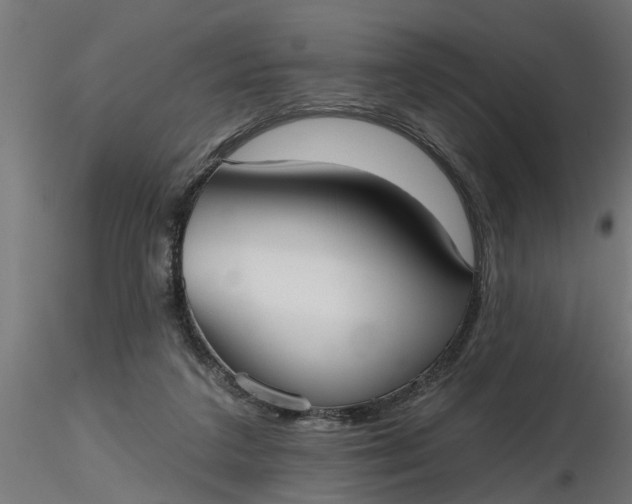 X0000116850211201001051513