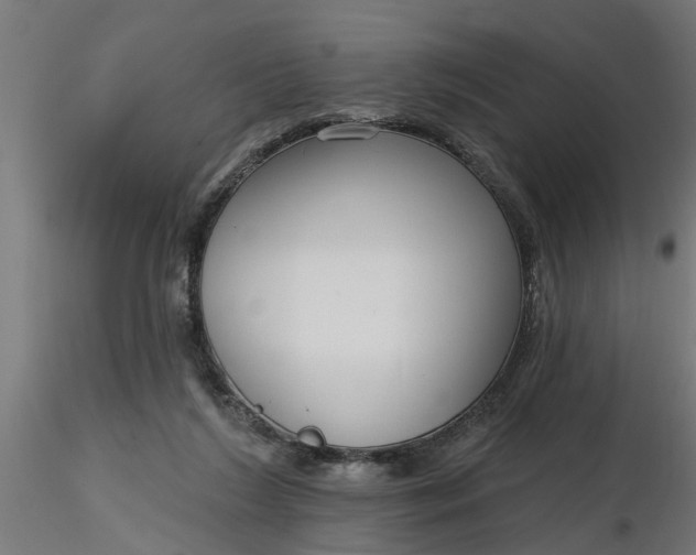 X0000116850212201001051513