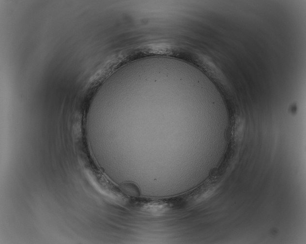 X0000116850213201001051513