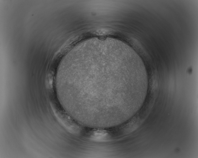 X0000116850214201001051513