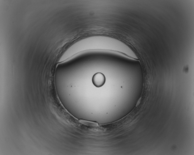 X0000116850215201001051513