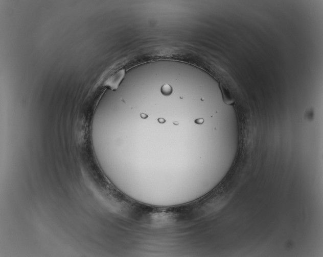 X0000116850216201001051513