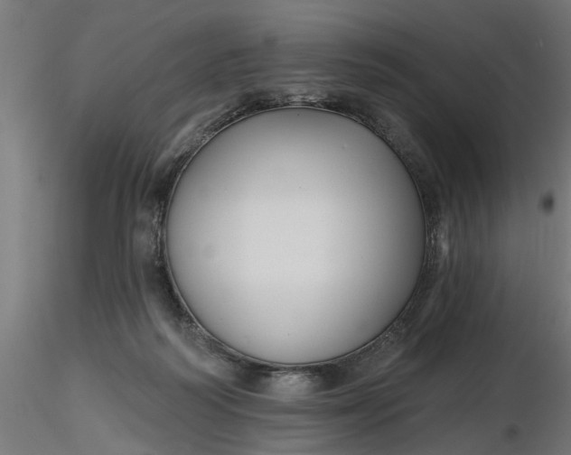 X0000116850218201001051513