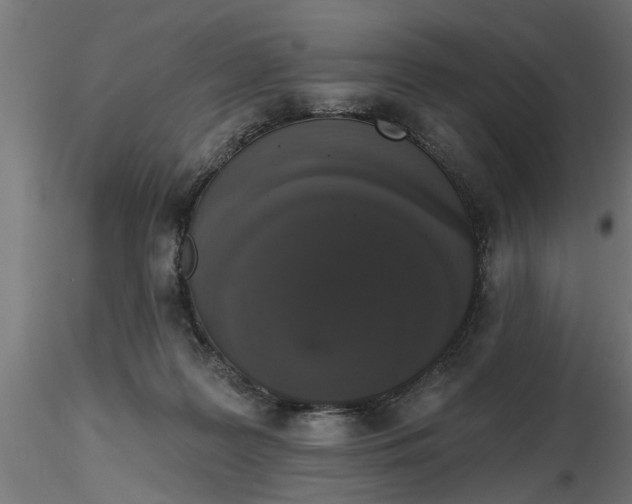 X0000116850219201001051513