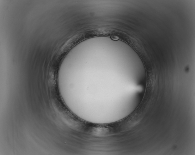 X0000116850220201001051513