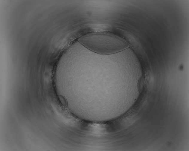 X0000116850221201001051513