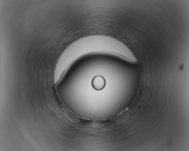 X0000116850223201001051513