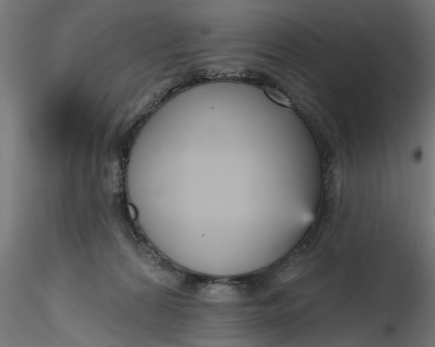 X0000116850224201001051513