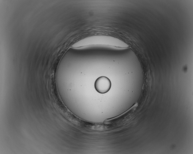 X0000116850225201001051513