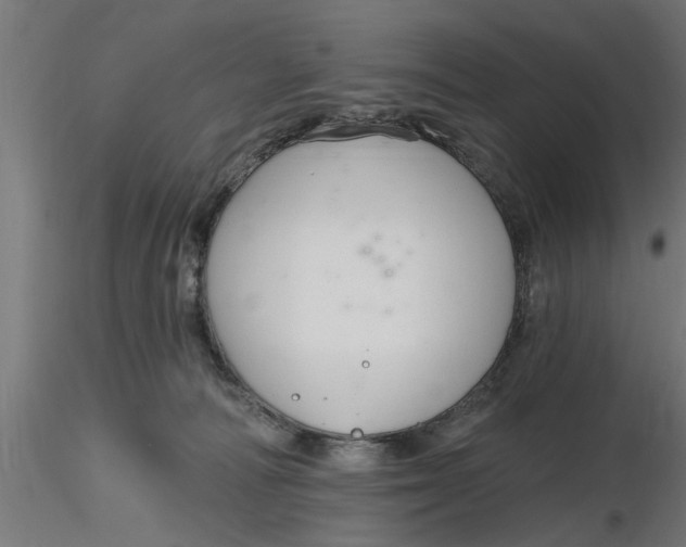 X0000116850226201001051513