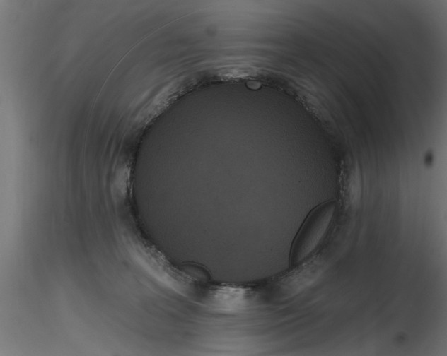 X0000116850227201001051513