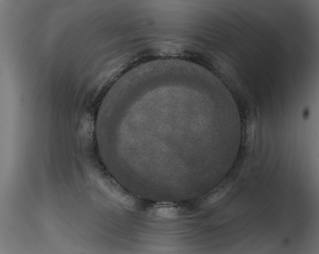 X0000116850228201001051513