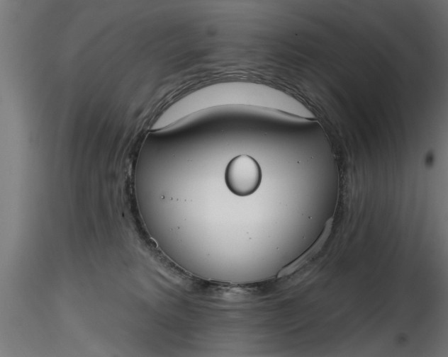 X0000116850229201001051513