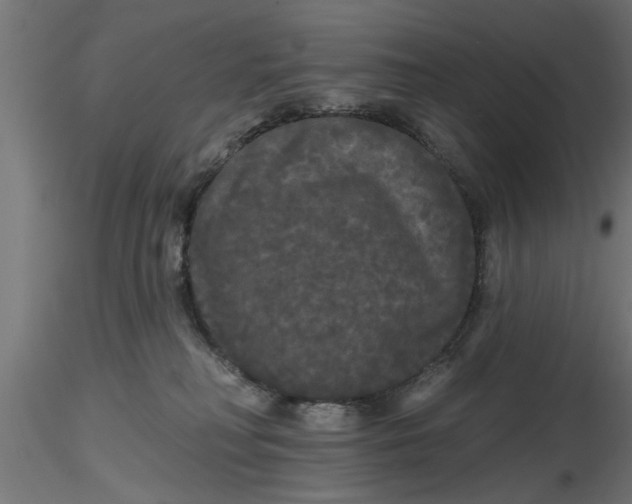 X0000116850230201001051513