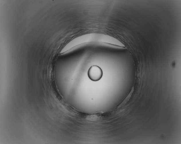 X0000116850231201001051513